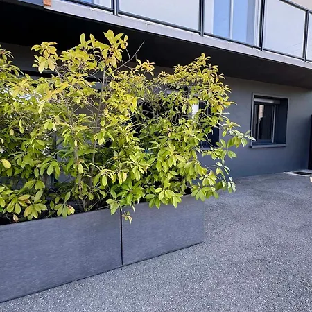Lägenhet : T2 Moderne, Terrasse, Wifi, Parking, Animaux Ok - Fr-1-555-100